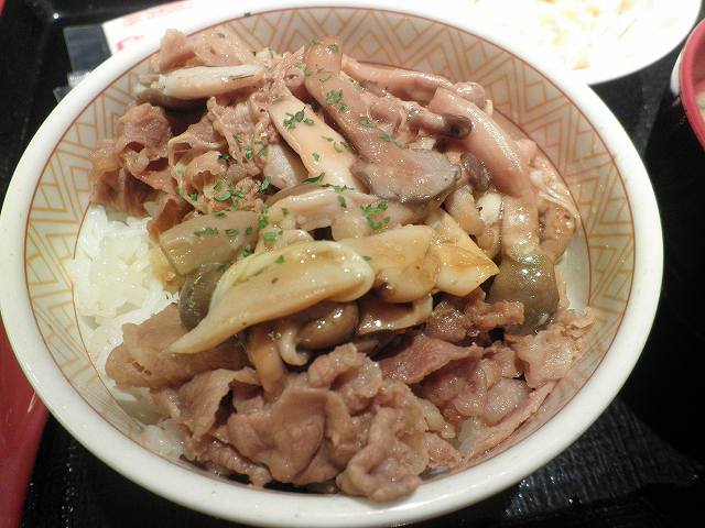 H24.11月 石垣島ダイビング4日目 すき家の3種のきのこ牛丼 関西国際空港店_c0118393_17572445.jpg