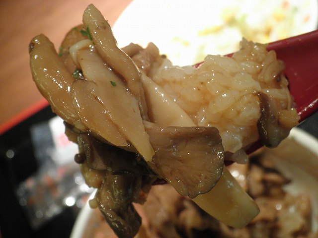 H24.11月 石垣島ダイビング4日目 すき家の3種のきのこ牛丼 関西国際空港店_c0118393_18343252.jpg