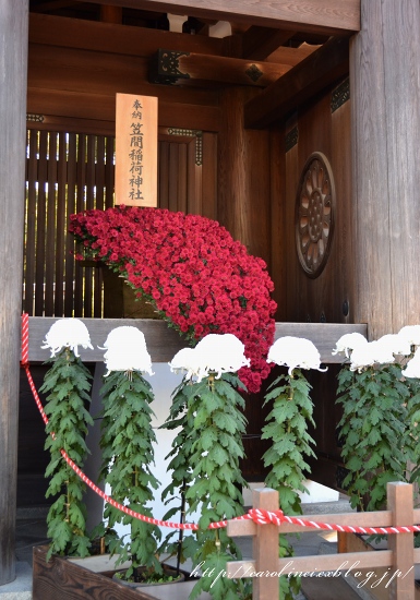 明治神宮_d0025294_18571875.jpg