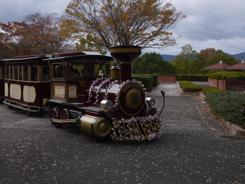 万博公園の紅葉_d0162695_1932013.jpg