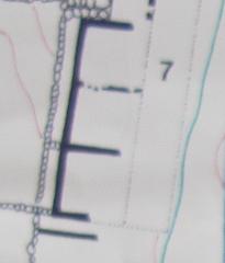 c0010496_8572862.jpg