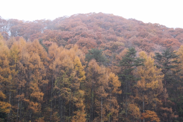 c0117597_20222341.jpg