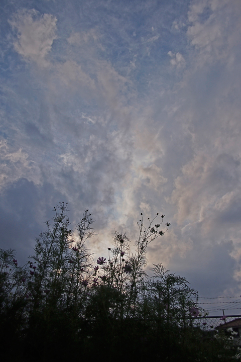 b0286898_18272175.jpg