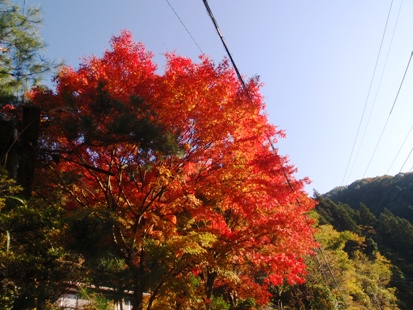 少し_e0077899_872824.jpg