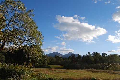 c0124100_23483133.jpg
