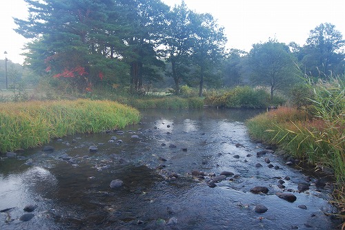 c0124100_23512540.jpg