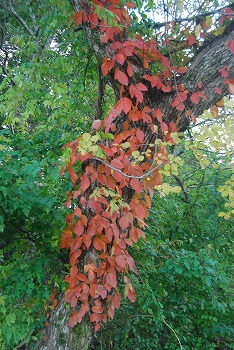 c0124100_23514764.jpg