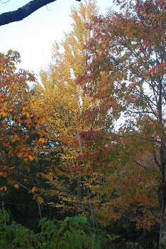 c0124100_23535789.jpg