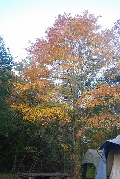 c0124100_23541053.jpg