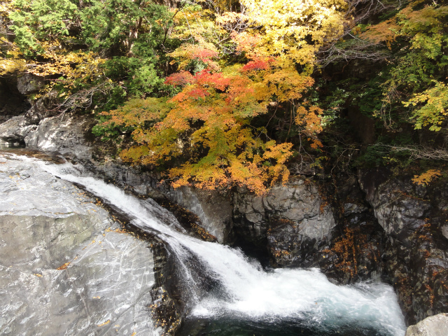 c0125501_6153081.jpg