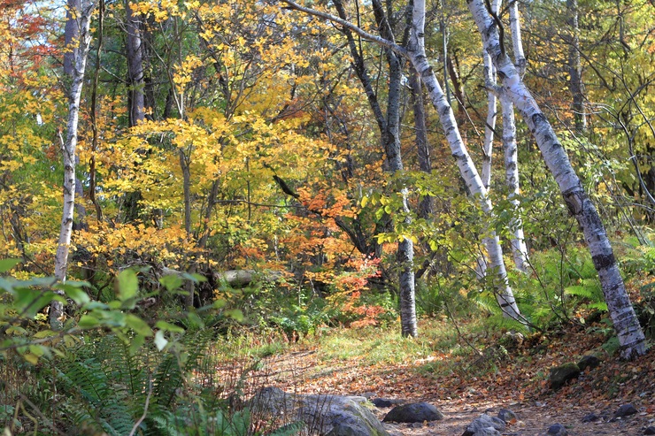 f0034602_21355875.jpg