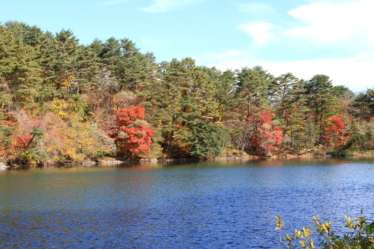 f0034602_21363659.jpg