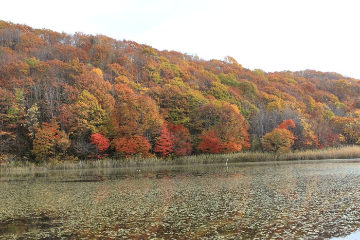 f0034602_21415986.jpg