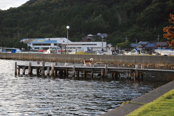 f0109202_10295335.jpg