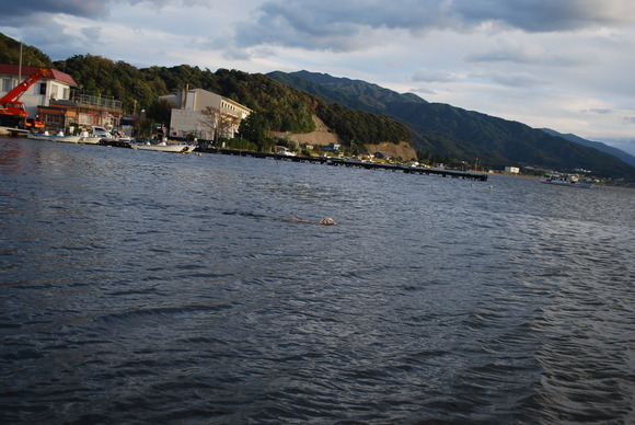 f0109202_1272252.jpg