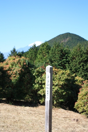 f0218002_1973417.jpg