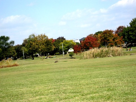 a0040103_2144671.jpg