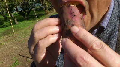 e0270403_11501539.jpg