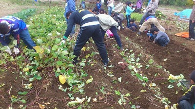e0270403_1534936.jpg