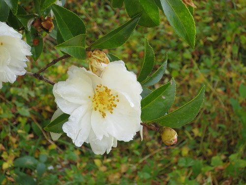 e0271803_20225985.jpg
