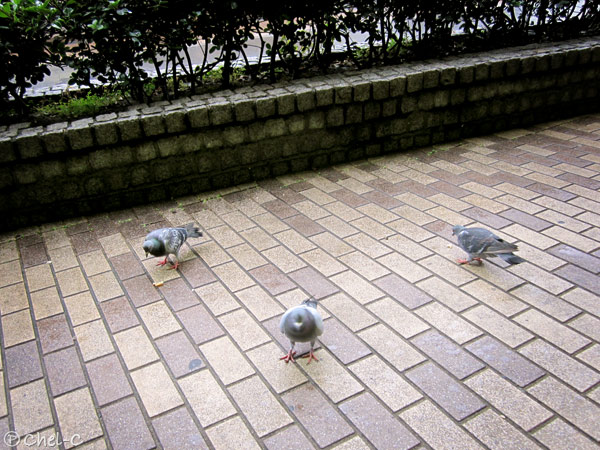 a0154706_1165150.jpg