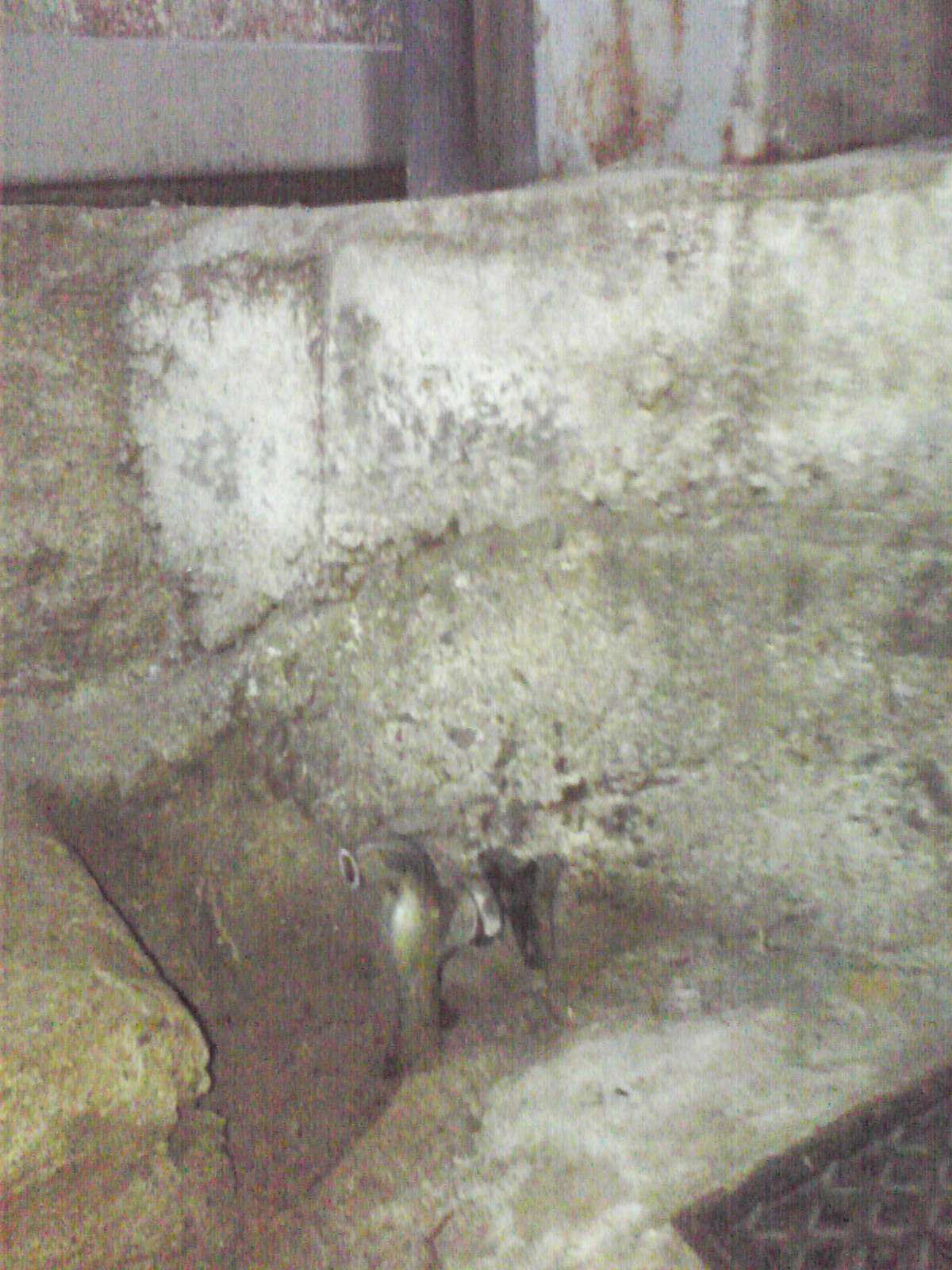 a0288706_11281663.jpg