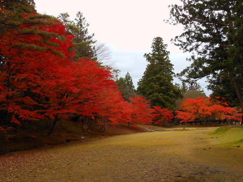 毛越寺_c0212307_11592986.jpg