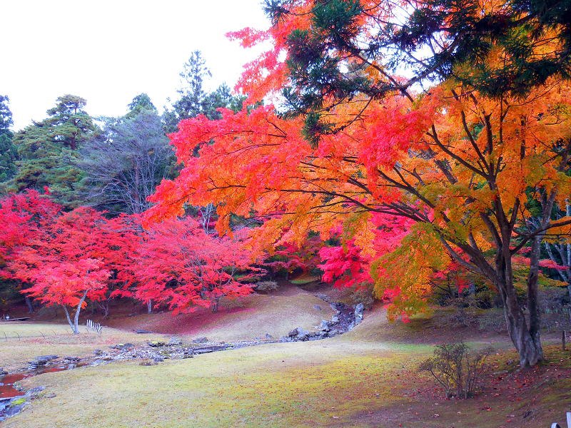 毛越寺_c0212307_11595488.jpg