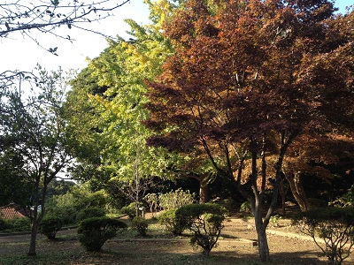e0178307_11114337.jpg