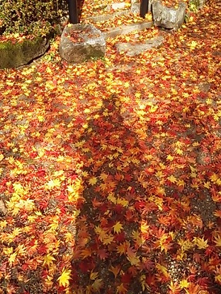 a0268708_10404414.jpg