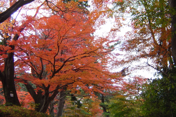 またまた東北に行って来ました＾＾Ⅱ_a0265510_21134342.jpg