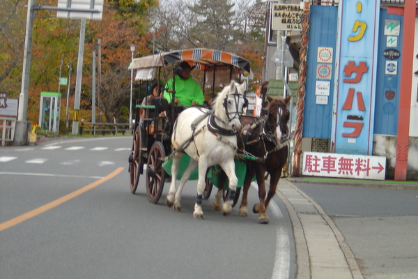 またまた東北に行って来ました＾＾Ⅱ_a0265510_21191831.jpg