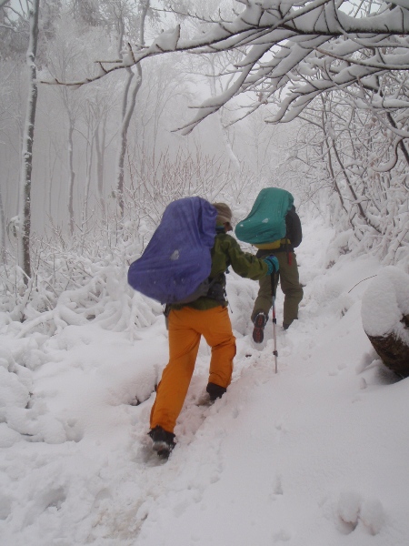 新雪の巻機山 前篇(避難小屋へ)_c0177814_21195851.jpg