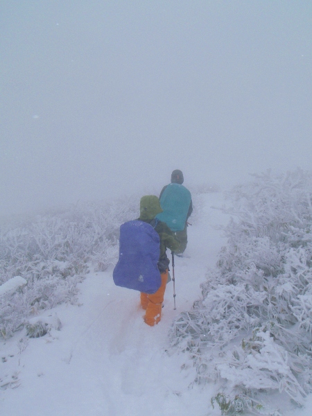 新雪の巻機山 前篇(避難小屋へ)_c0177814_2128917.jpg