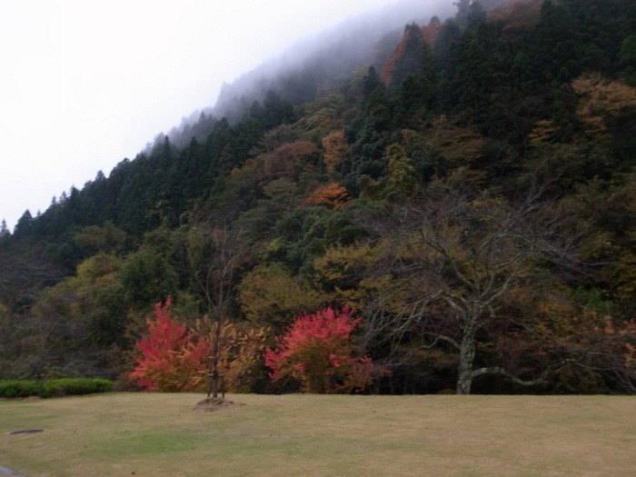 湯来ロッジなど。。_c0116915_0141195.jpg