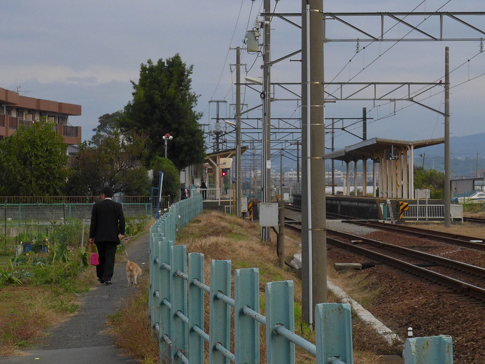 電車で犬連れ通勤・・・？_d0147315_11221294.jpg