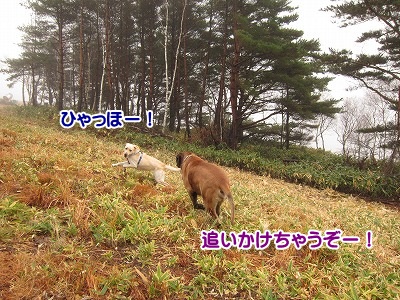 e0192217_21575881.jpg