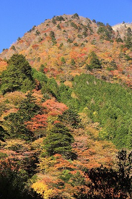 a0087818_21304483.jpg