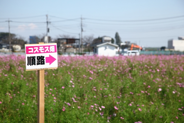 THE・道の駅めぐり　～食べて走って消費せよ～　前編_a0243720_1944165.jpg