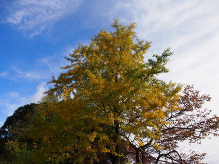 a0283622_8594321.jpg
