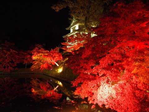 弘前公園20121111*紅葉ﾗｲﾄｱｯﾌﾟ_b0147224_2103039.jpg