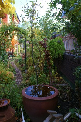 f0170524_12531454.jpg