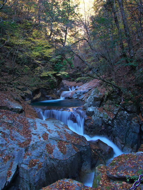 b0093625_14171061.jpg