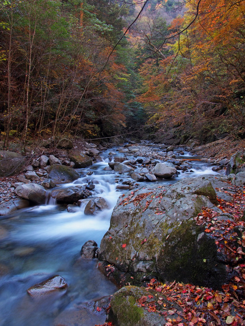 b0093625_14195564.jpg