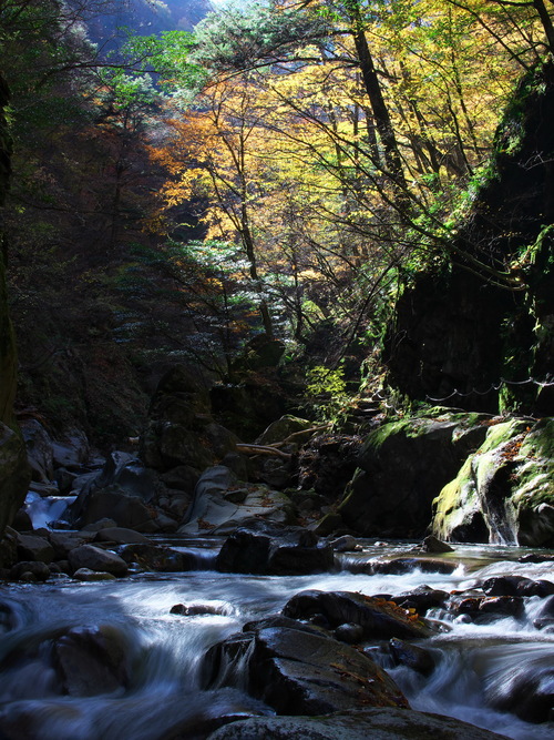 b0093625_14293914.jpg