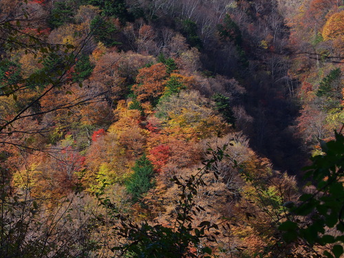 b0093625_14472532.jpg