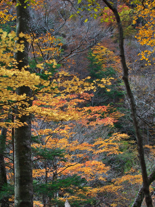 b0093625_14495574.jpg