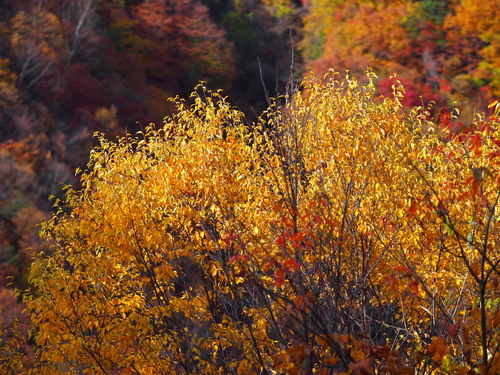b0093625_14541793.jpg