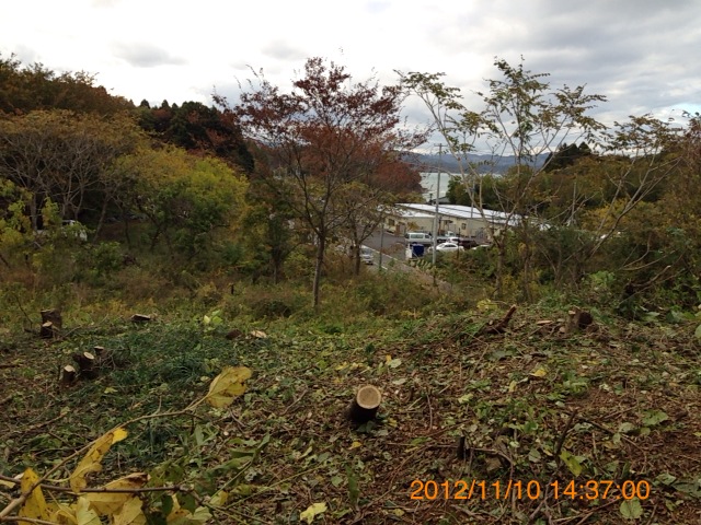 b0249826_22314834.jpg