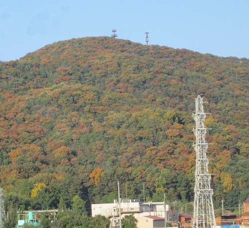 プチ同窓会_f0050226_15245080.jpg